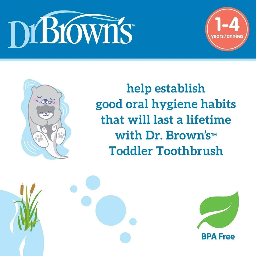 Dr. Brown's Toddler Toothbrush Otter 1 - 4 years - Miu Mau Collectibles