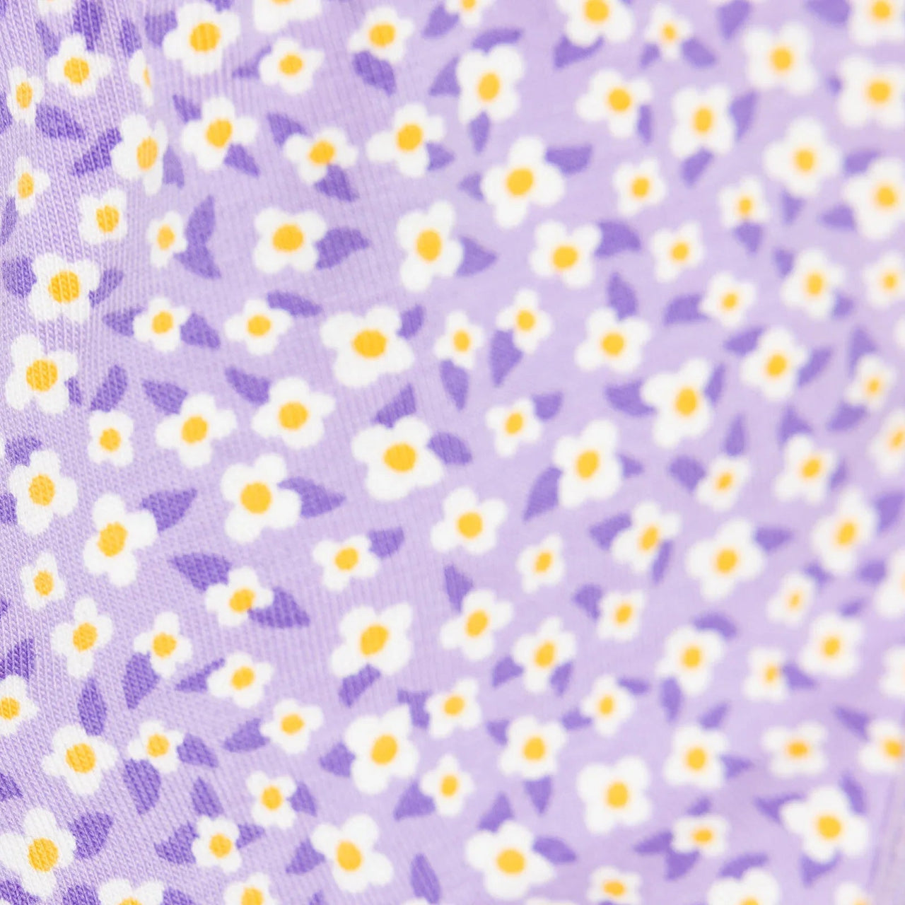 HelloBaby Baby Girl Underwear - Purple - Miu Mau Collectibles