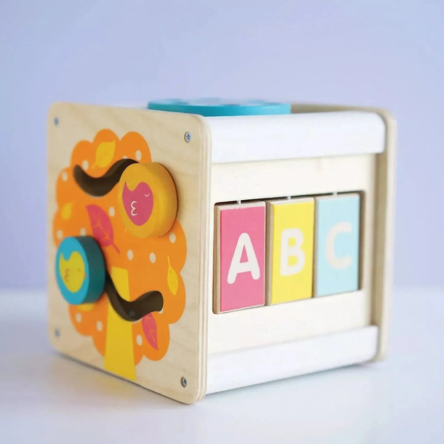 LTV Activity Cube - Miu Mau Collectibles