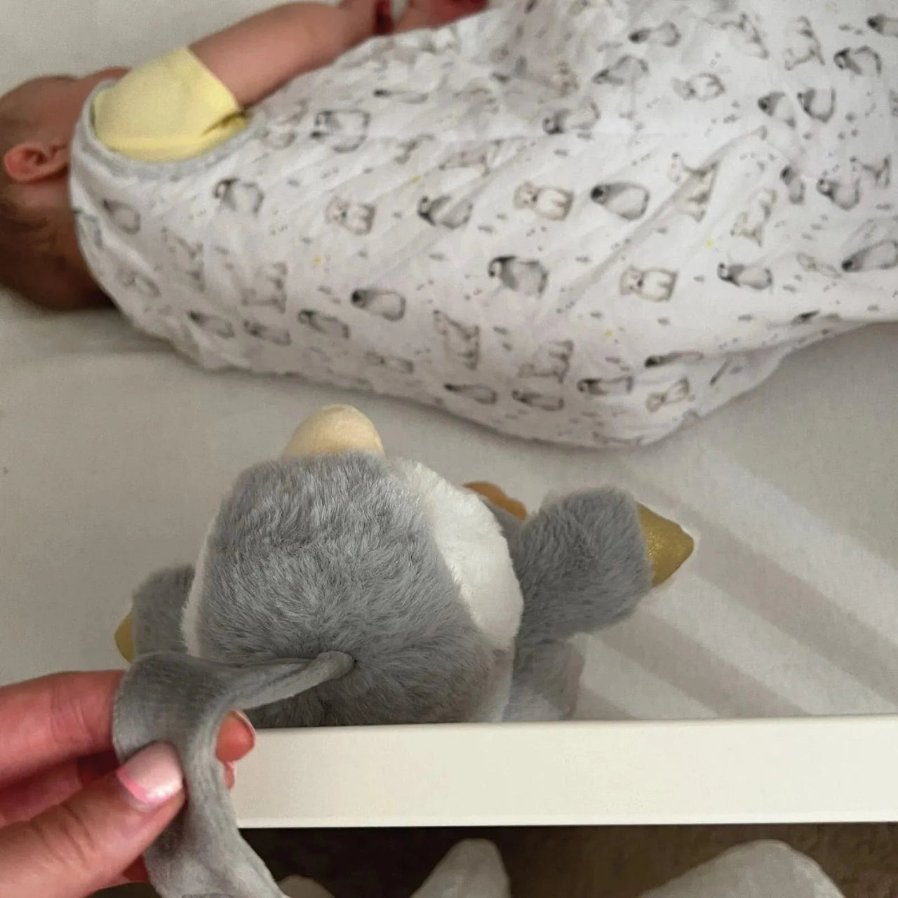 Nuby Penguin Sleep Aid with Cry Sensor - Miu Mau Collectibles
