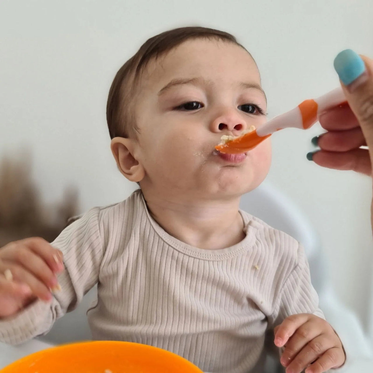 Nuby Weaning Spoons Pack of 6 - Miu Mau Collectibles