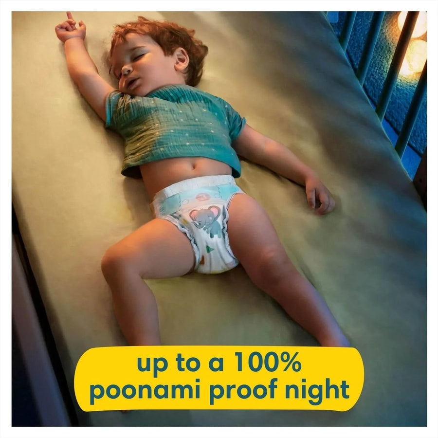 Pampers Baby Dry Size 4 Jumbo Pack - 84 nappies - Miu Mau Collectibles